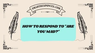 200+ How to Respond to “Are You Mad?”