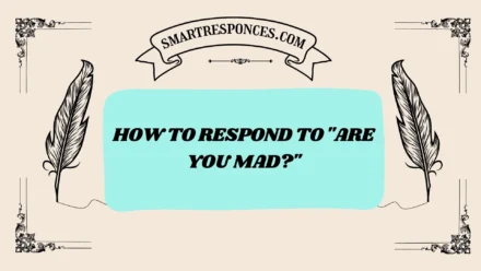 200+ How to Respond to “Are You Mad?”