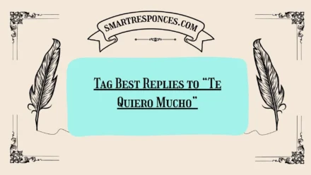 200+ Tag Best Replies to “Te Quiero Mucho”