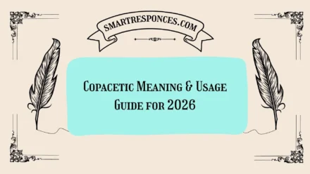 Copacetic Meaning & Usage Guide for 2026