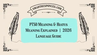 PTSO Meaning & Hiatus Meaning Explained | 2026 Language Guide