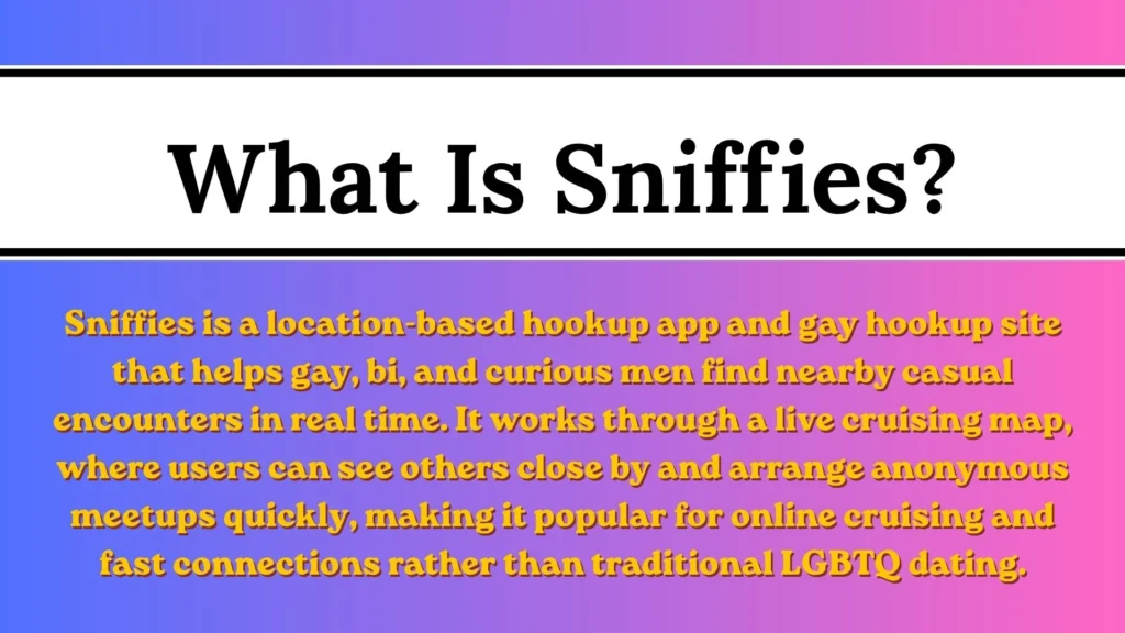 What Is Sniffies?