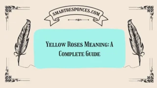 Yellow Roses Meaning: A Complete Guide