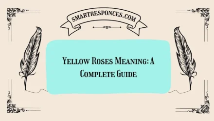 Yellow Roses Meaning: A Complete Guide