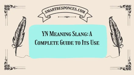 YN Meaning Slang: A Complete Guide to Its Use