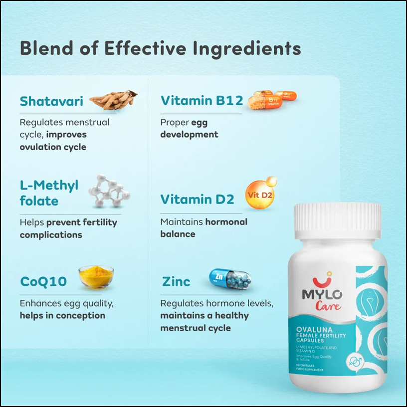 Rethinking Fertility Support Through Nutrition, Hormones, and Daily Rhythm