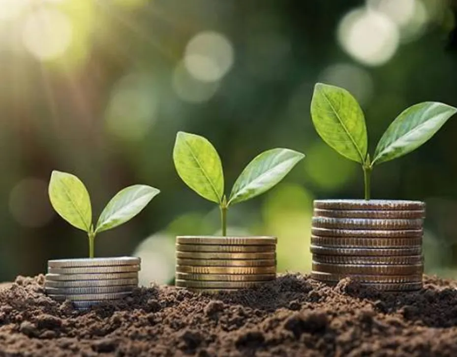 Overcoming Personal Finance Challenges in Rural Areas